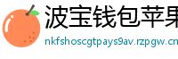 波宝钱包苹果版下载